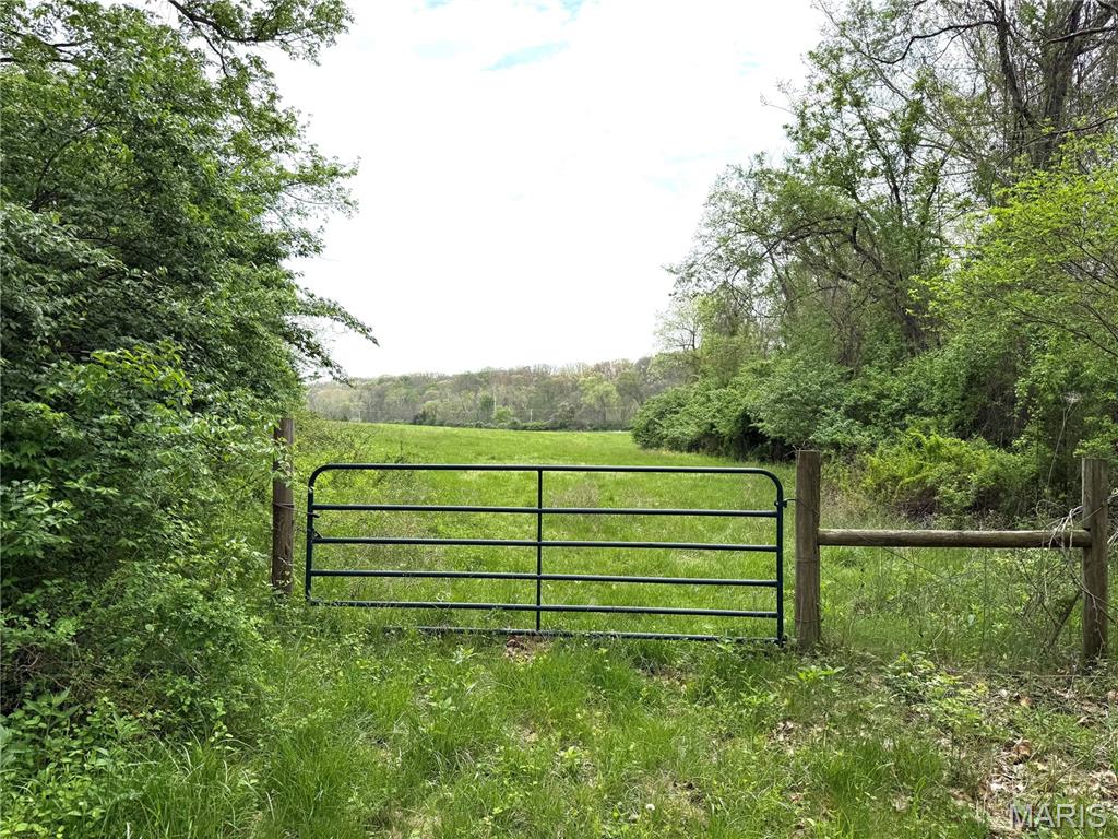 19142 Hardt Road Wildwood, MO 63038 - Photo 5 of 18