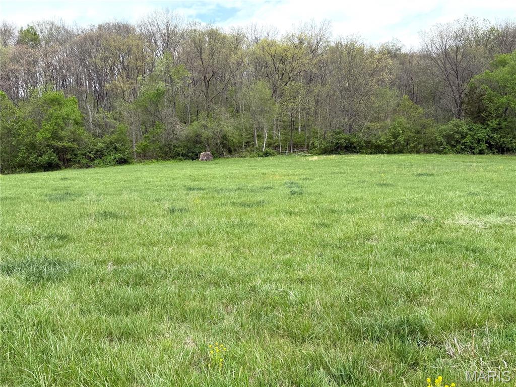 19142 Hardt Road Wildwood, MO 63038 - Photo 6 of 18