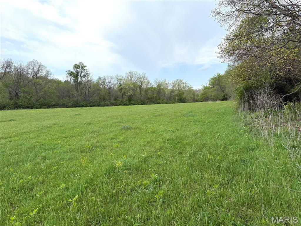 19142 Hardt Road Wildwood, MO 63038 - Photo 9 of 20