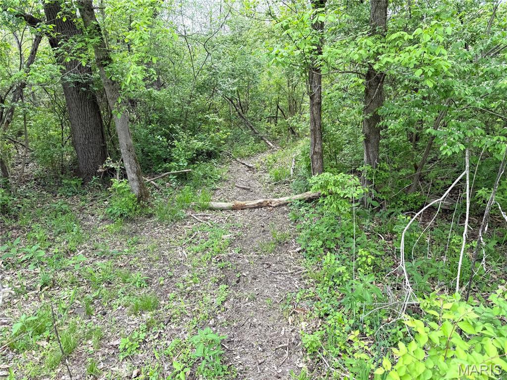 19142 Hardt Road Wildwood, MO 63038 - Photo 9 of 18