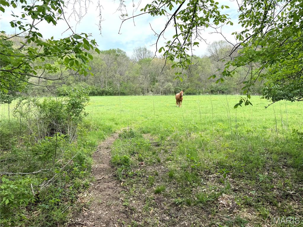 19142 Hardt Road Wildwood, MO 63038 - Photo 10 of 18