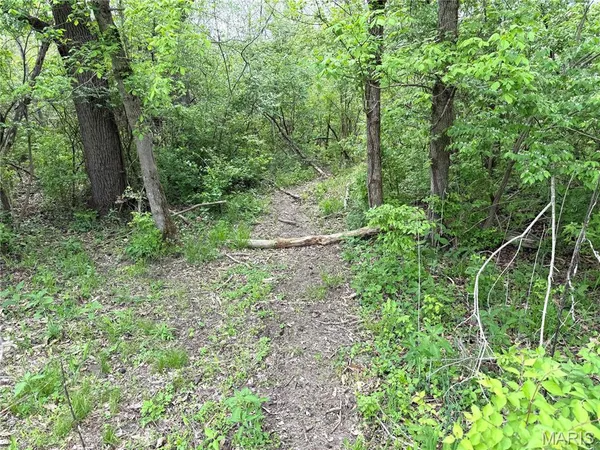 $645,000 | 19142 Hardt Road, Wildwood, MO 63038