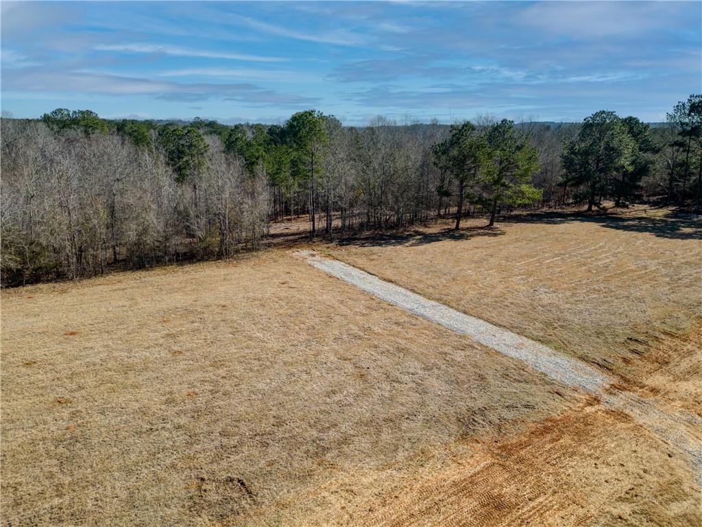 689 Moccasin Gap Road Jackson, GA 30233 - Photo 5 of 10 a view of outdoor space and yard
