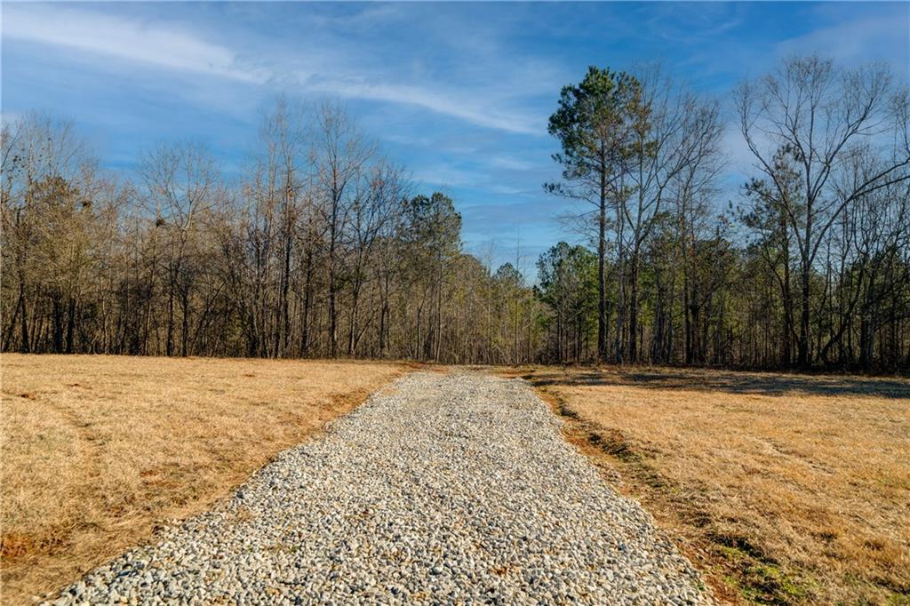 689 Moccasin Gap Road Jackson, GA 30233 - Photo 6 of 10 a view of big yard with trees