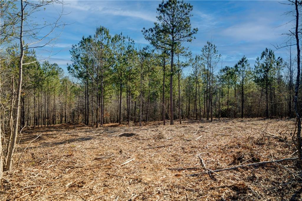 689 Moccasin Gap Road Jackson, GA 30233 - Photo 7 of 10 a view of a backyard of a house