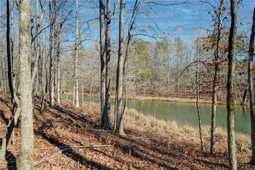 689 Moccasin Gap Road Jackson, GA 30233 - Photo 9 of 10 a view of a lake in between the two trees