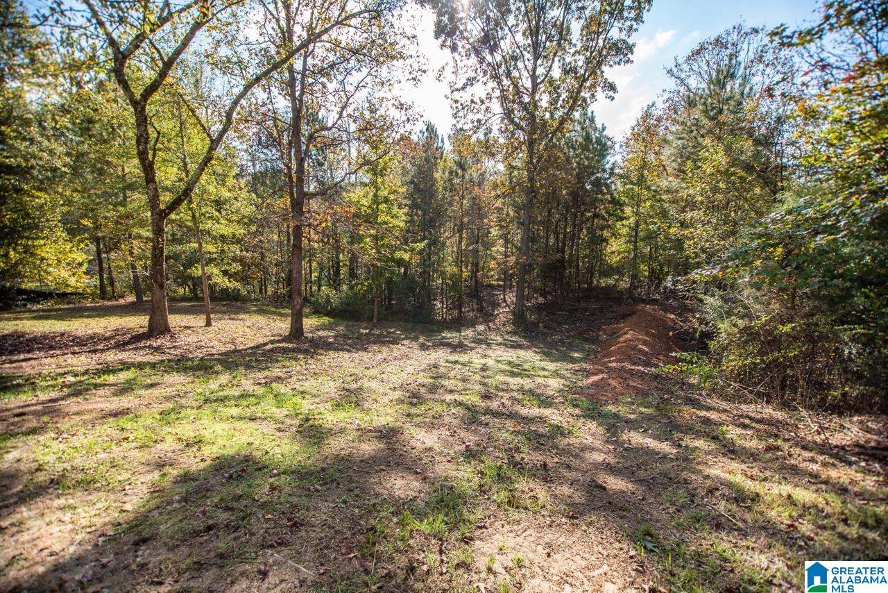 180 Arrowhead Drive Riverside, AL 35135 - Photo 41 of 44