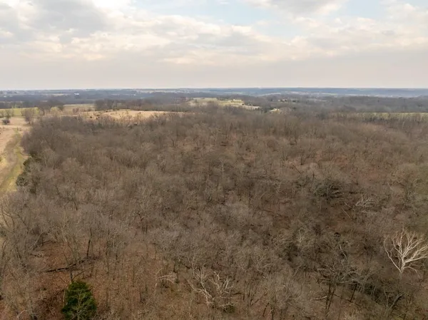 $220,000 | Tbd Rattlesnake Road, Polo, MO 64671