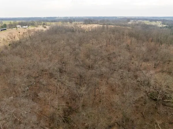 $220,000 | Tbd Rattlesnake Road, Polo, MO 64671