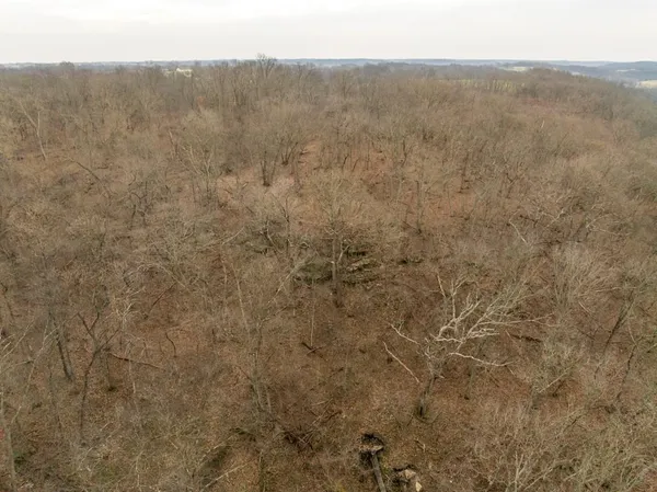 $220,000 | Tbd Rattlesnake Road, Polo, MO 64671