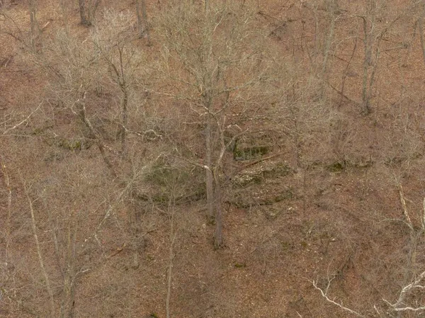 $220,000 | Tbd Rattlesnake Road, Polo, MO 64671