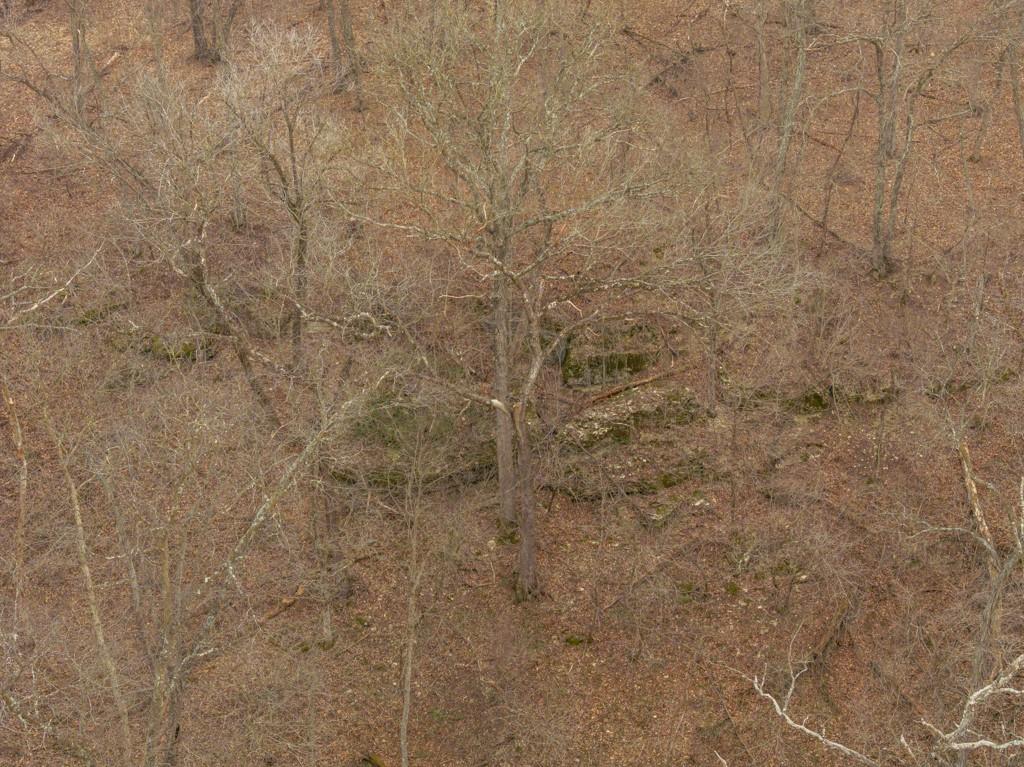 Tbd Rattlesnake Road Polo, MO 64671 - Photo 14 of 53