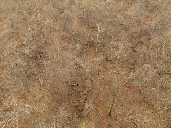 $220,000 | Tbd Rattlesnake Road, Polo, MO 64671