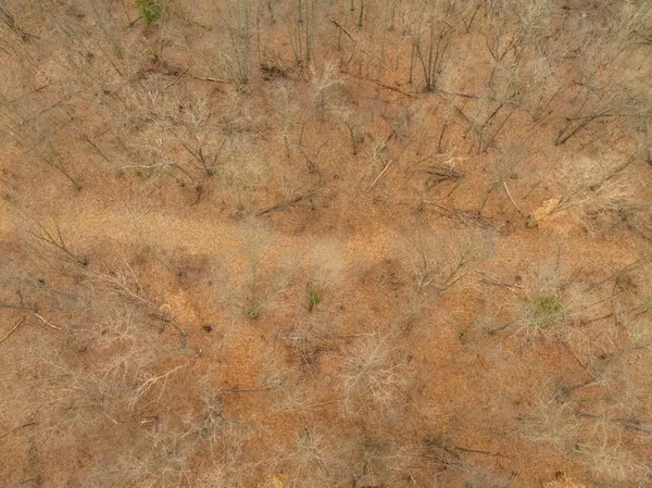 $220,000 | Tbd Rattlesnake Road, Polo, MO 64671