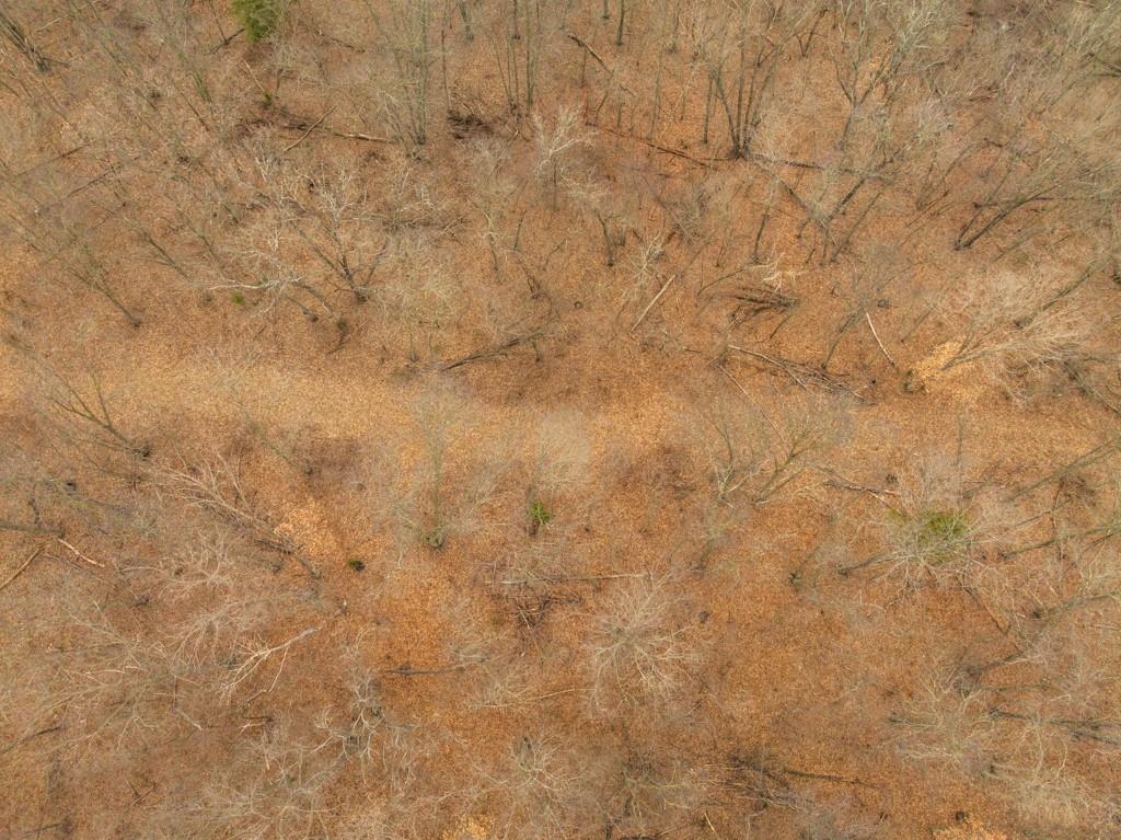 Tbd Rattlesnake Road Polo, MO 64671 - Photo 16 of 53