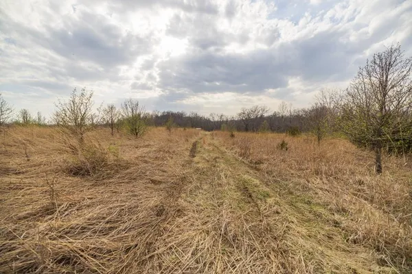 $220,000 | Tbd Rattlesnake Road, Polo, MO 64671