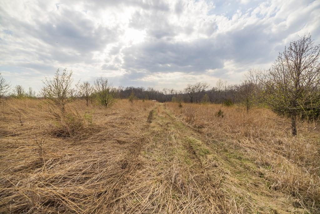 Tbd Rattlesnake Road Polo, MO 64671 - Photo 21 of 53