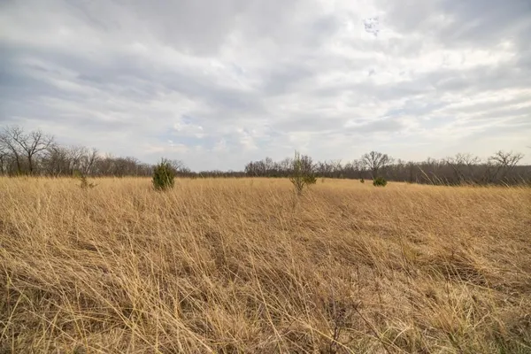 $220,000 | Tbd Rattlesnake Road, Polo, MO 64671
