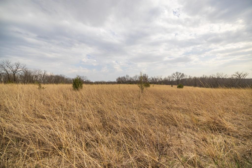 Tbd Rattlesnake Road Polo, MO 64671 - Photo 22 of 53
