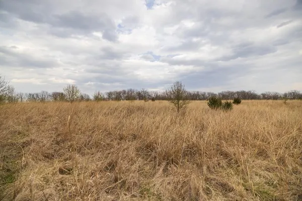 $220,000 | Tbd Rattlesnake Road, Polo, MO 64671