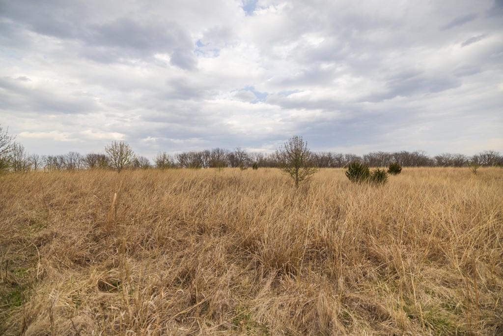 Tbd Rattlesnake Road Polo, MO 64671 - Photo 23 of 53