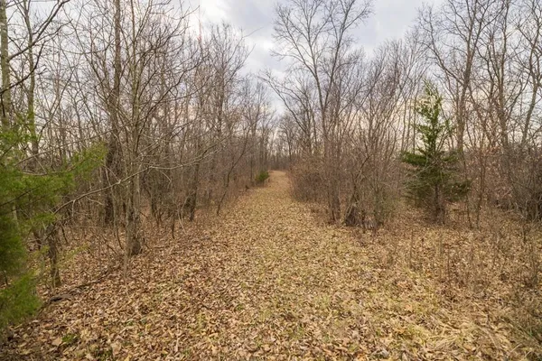 $220,000 | Tbd Rattlesnake Road, Polo, MO 64671