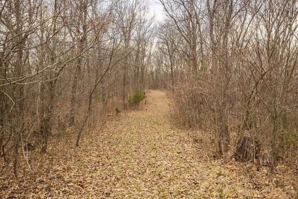 $220,000 | Tbd Rattlesnake Road, Polo, MO 64671