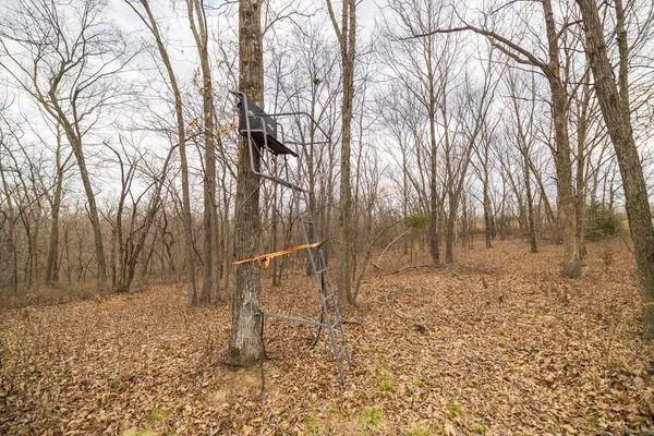 $220,000 | Tbd Rattlesnake Road, Polo, MO 64671