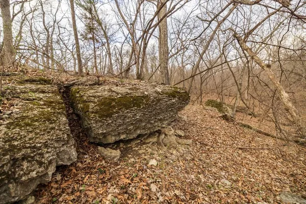 $220,000 | Tbd Rattlesnake Road, Polo, MO 64671