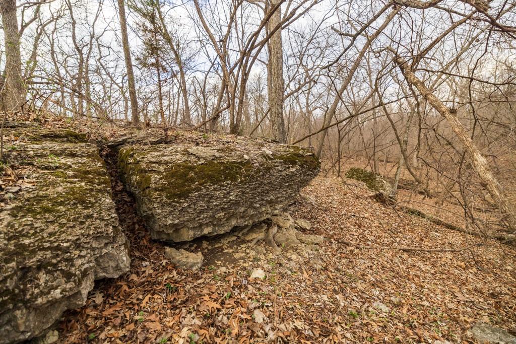 Tbd Rattlesnake Road Polo, MO 64671 - Photo 27 of 53
