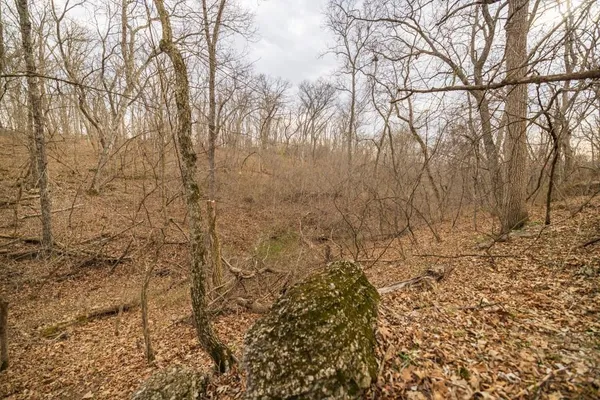 $220,000 | Tbd Rattlesnake Road, Polo, MO 64671