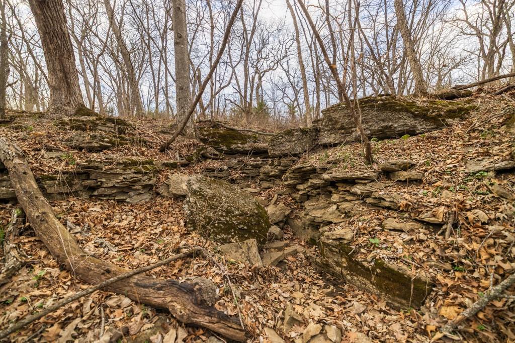 Tbd Rattlesnake Road Polo, MO 64671 - Photo 29 of 53