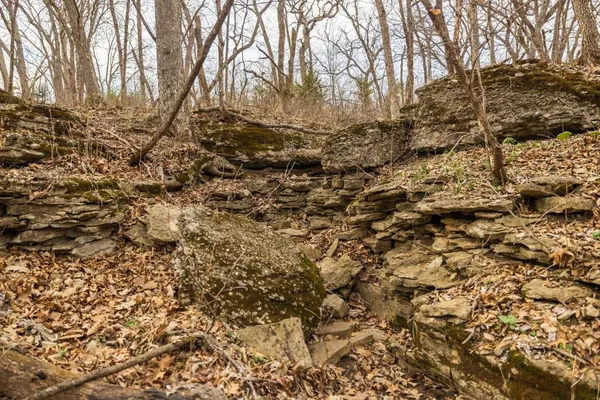 $220,000 | Tbd Rattlesnake Road, Polo, MO 64671