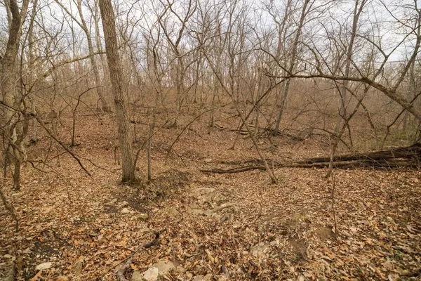 $220,000 | Tbd Rattlesnake Road, Polo, MO 64671