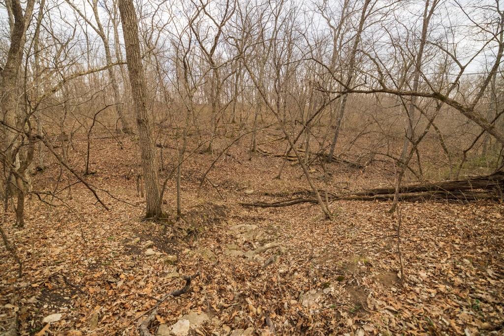 Tbd Rattlesnake Road Polo, MO 64671 - Photo 31 of 53