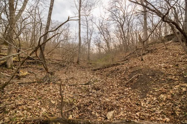 $220,000 | Tbd Rattlesnake Road, Polo, MO 64671