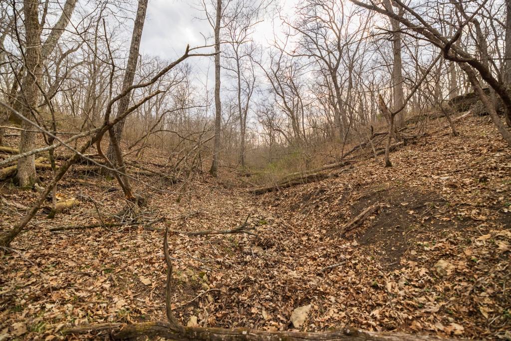 Tbd Rattlesnake Road Polo, MO 64671 - Photo 32 of 53