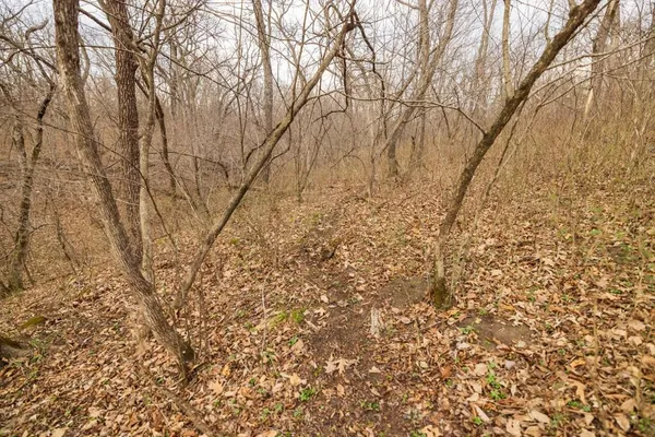 $220,000 | Tbd Rattlesnake Road, Polo, MO 64671