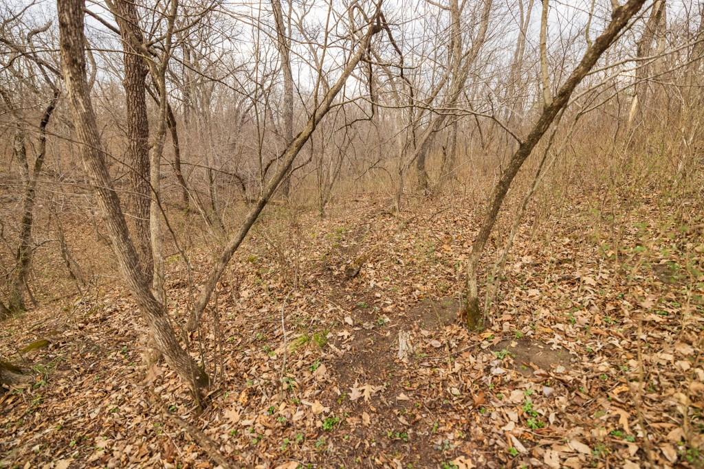 Tbd Rattlesnake Road Polo, MO 64671 - Photo 33 of 53