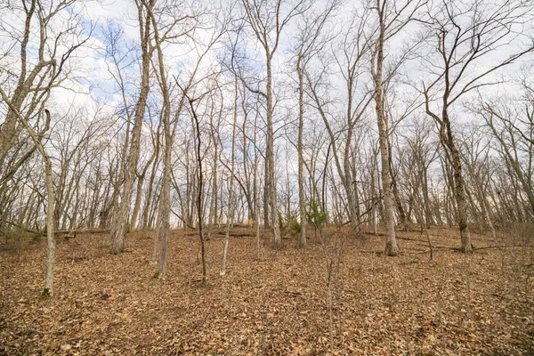 $220,000 | Tbd Rattlesnake Road, Polo, MO 64671