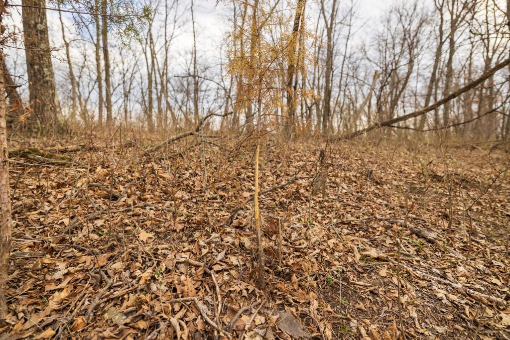 Tbd Rattlesnake Road Polo, MO 64671 - Photo 35 of 53