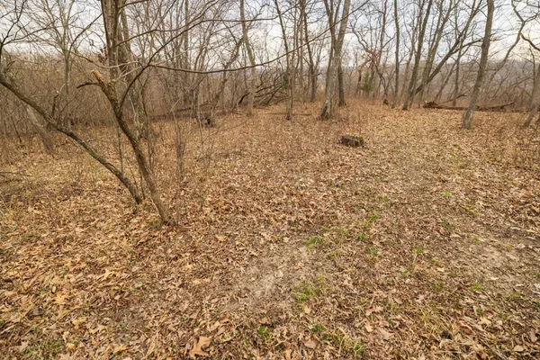 $220,000 | Tbd Rattlesnake Road, Polo, MO 64671