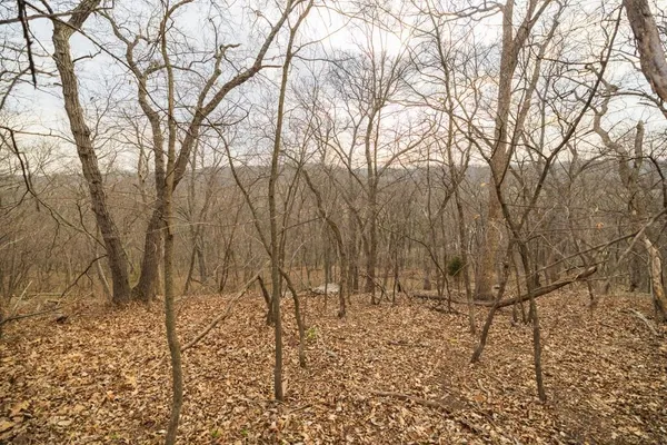 $220,000 | Tbd Rattlesnake Road, Polo, MO 64671