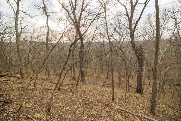 $220,000 | Tbd Rattlesnake Road, Polo, MO 64671