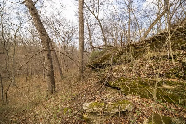 $220,000 | Tbd Rattlesnake Road, Polo, MO 64671