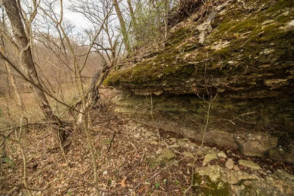 $220,000 | Tbd Rattlesnake Road, Polo, MO 64671