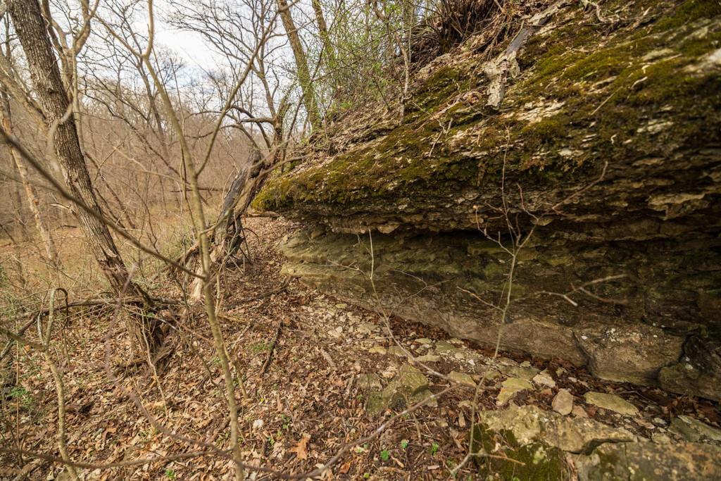 Tbd Rattlesnake Road Polo, MO 64671 - Photo 40 of 53