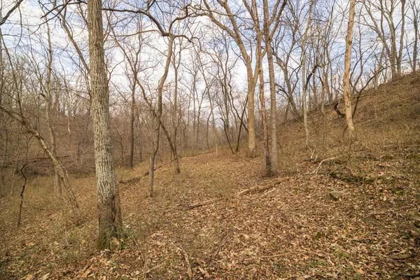 $220,000 | Tbd Rattlesnake Road, Polo, MO 64671