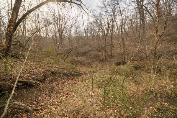 $220,000 | Tbd Rattlesnake Road, Polo, MO 64671