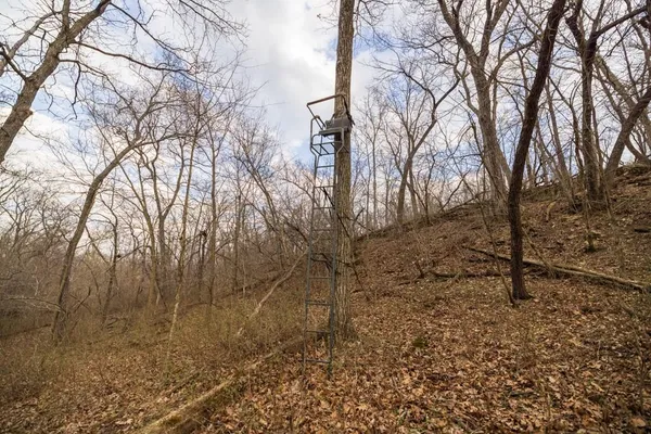 $220,000 | Tbd Rattlesnake Road, Polo, MO 64671